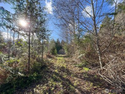 9999 Sponberg Lane , Port Angeles, WA 98363 - Photo 20