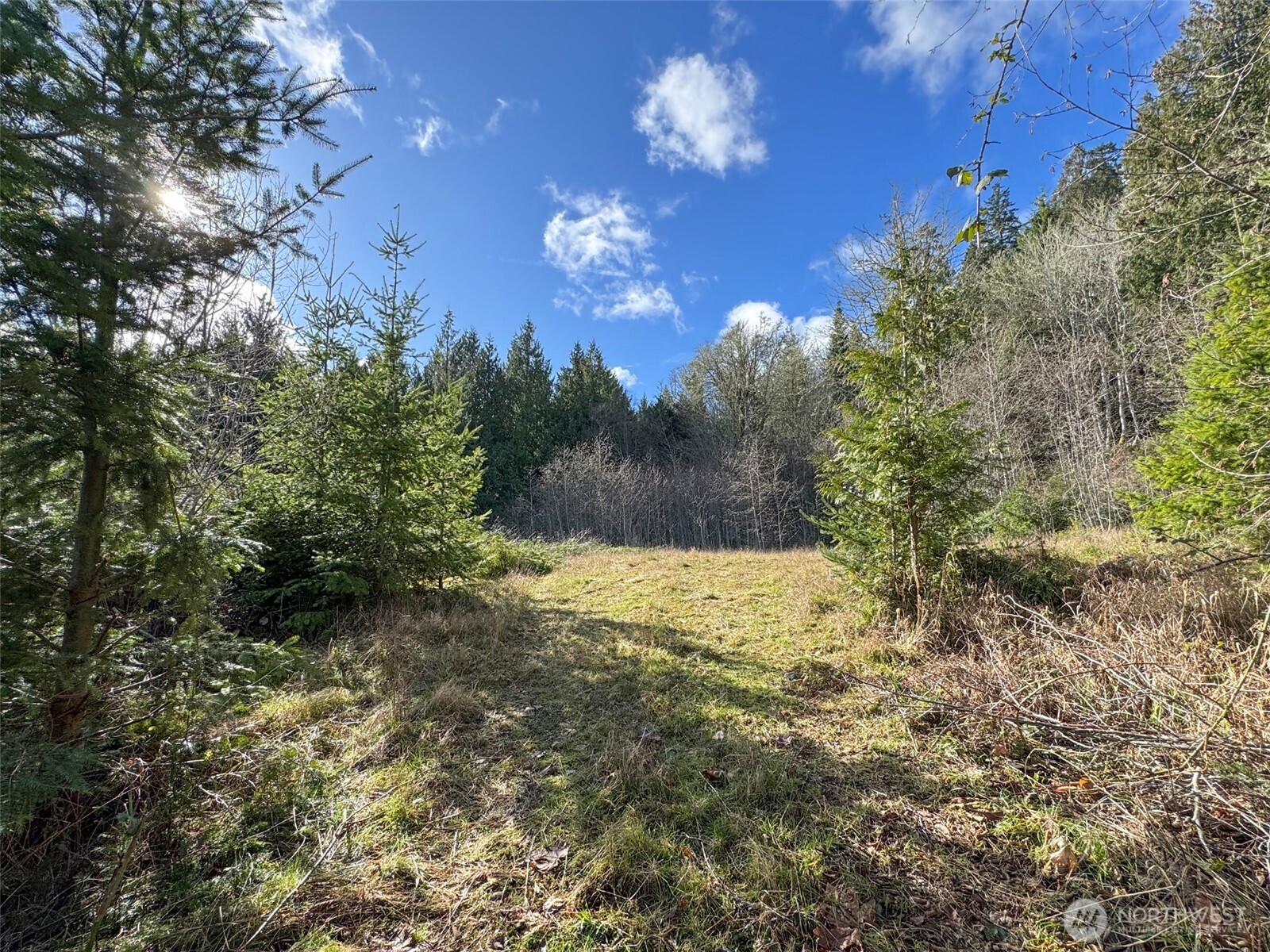 9999 Sponberg Lane , Port Angeles, WA 98363