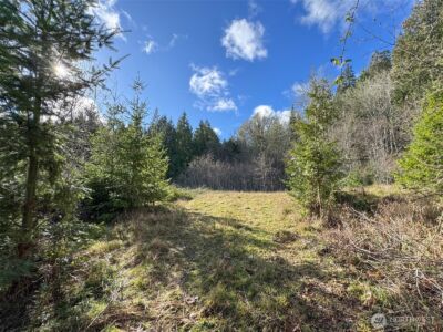 9999 Sponberg Lane , Port Angeles, WA 98363 - Photo 21