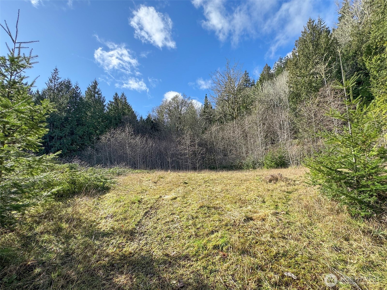9999 Sponberg Lane , Port Angeles, WA 98363