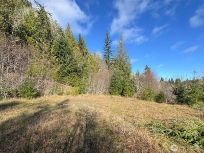 9999 Sponberg Lane , Port Angeles, WA 98363 - Photo 23