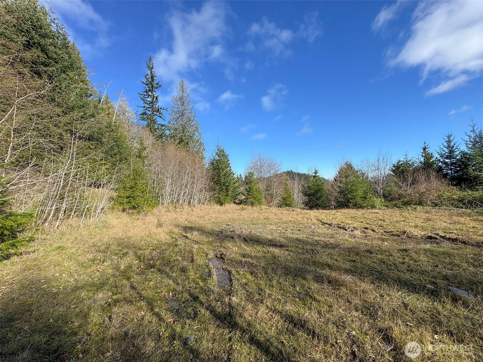 9999 Sponberg Lane , Port Angeles, WA 98363