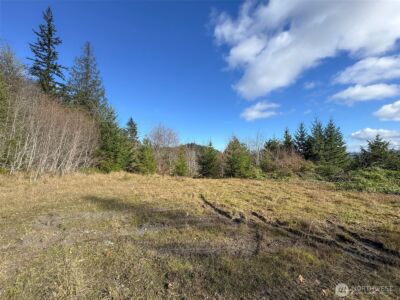 9999 Sponberg Lane , Port Angeles, WA 98363 - Photo 25