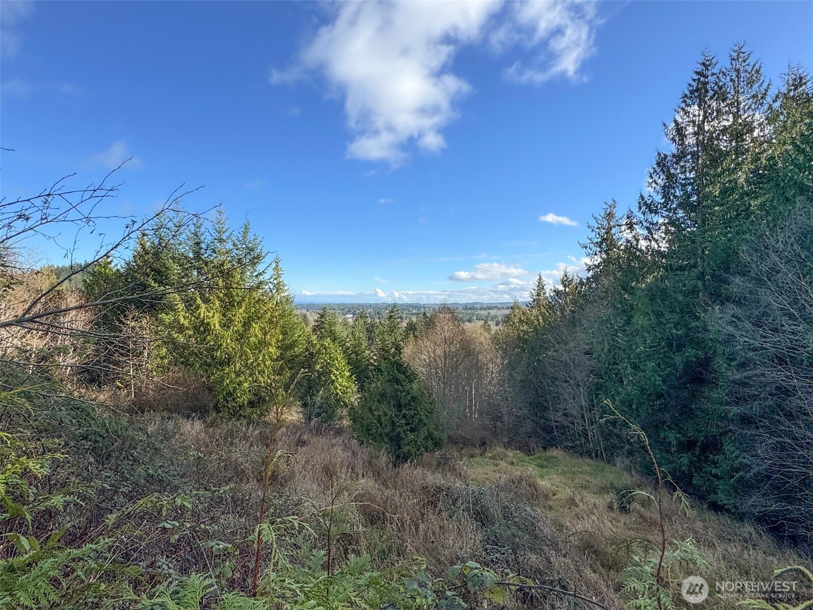 9999 Sponberg Lane , Port Angeles, WA 98363