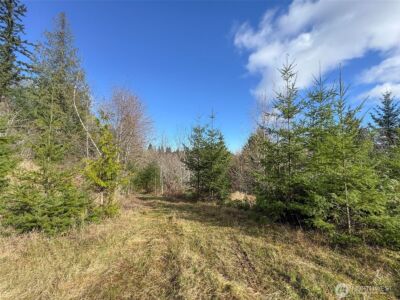 9999 Sponberg Lane , Port Angeles, WA 98363 - Photo 28