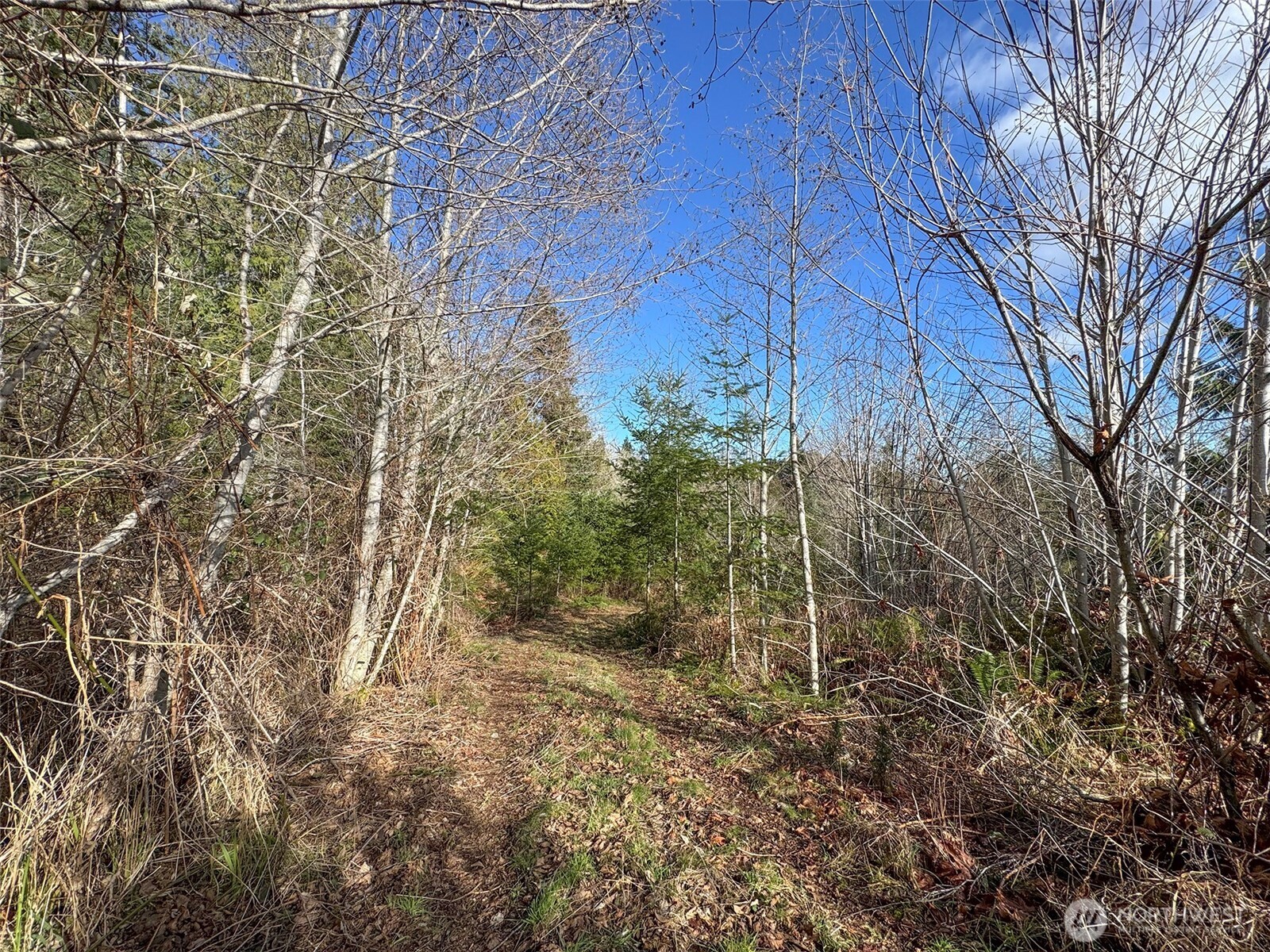 9999 Sponberg Lane , Port Angeles, WA 98363