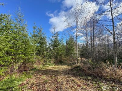 9999 Sponberg Lane , Port Angeles, WA 98363 - Photo 30