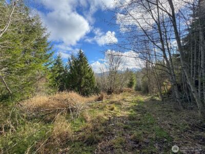 9999 Sponberg Lane , Port Angeles, WA 98363 - Photo 31
