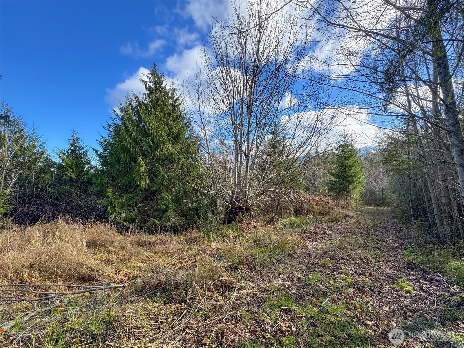 9999 Sponberg Lane , Port Angeles, WA 98363