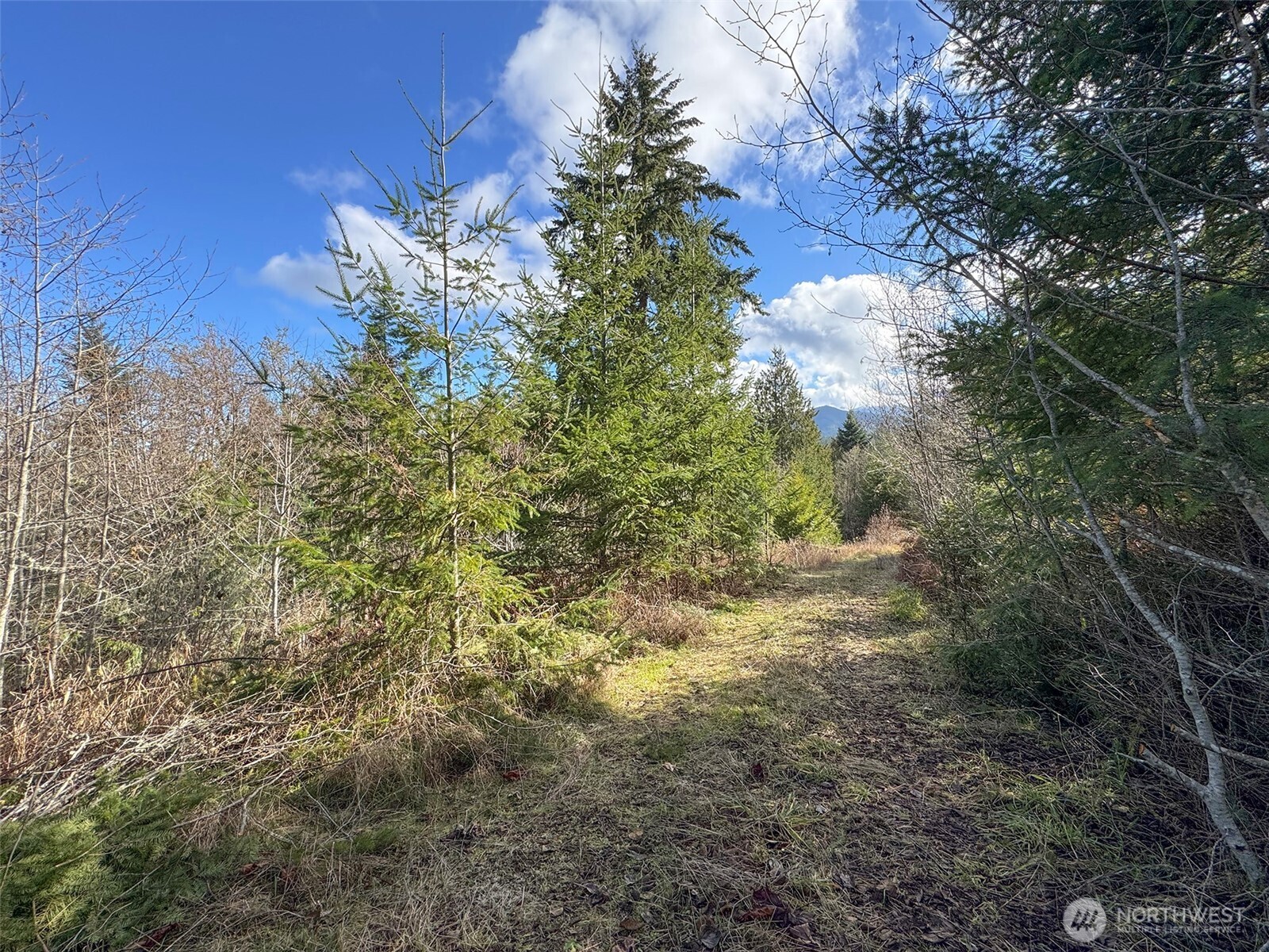 9999 Sponberg Lane , Port Angeles, WA 98363