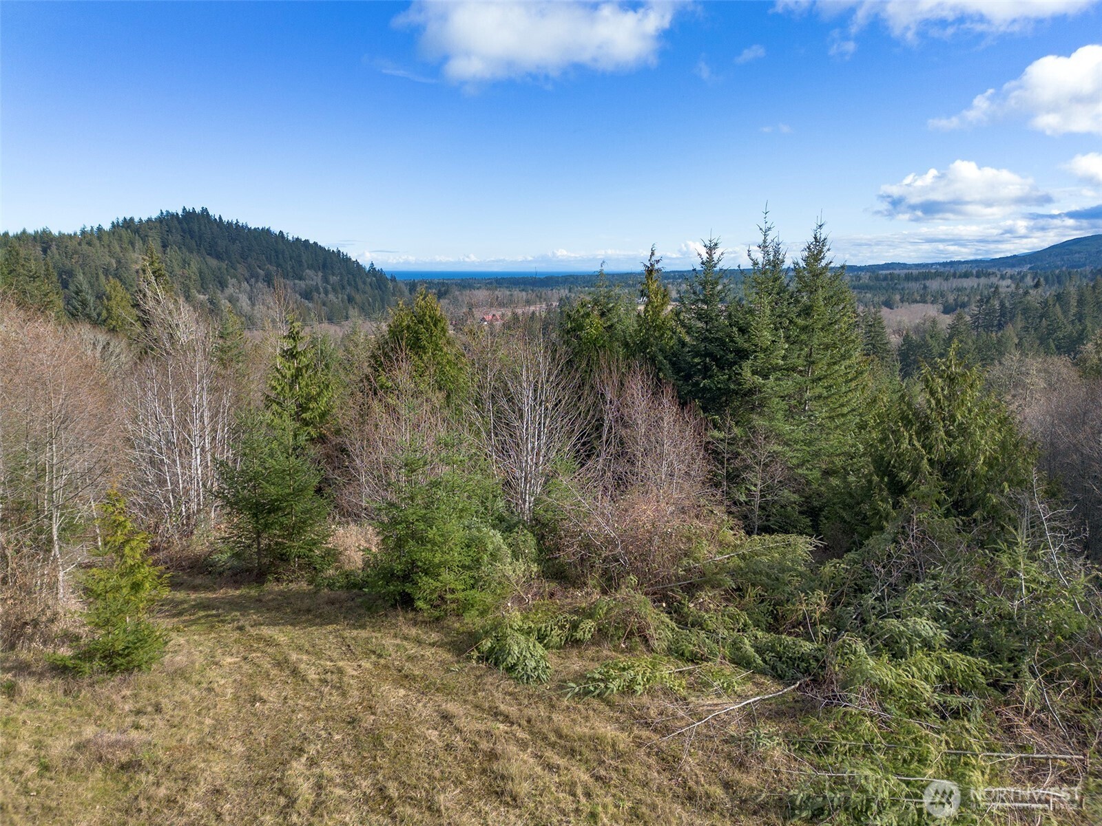 9999 Sponberg Lane , Port Angeles, WA 98363