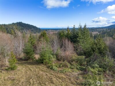 9999 Sponberg Lane , Port Angeles, WA 98363 - Photo 5