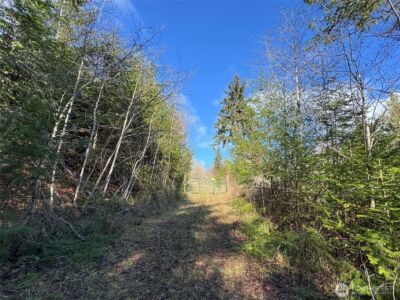 9999 Sponberg Lane , Port Angeles, WA 98363 - Photo 8