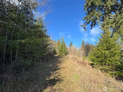 9999 Sponberg Lane , Port Angeles, WA 98363 - Photo 10