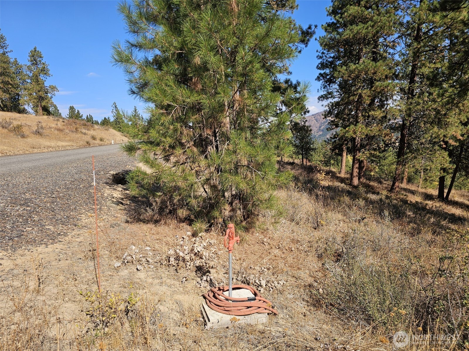2 D Swauk Pines Road , Cle Elum, WA 98922