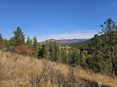 2 D Swauk Pines Road , Cle Elum, WA 98922 - Photo 11