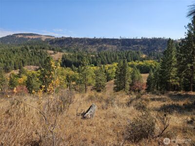 2 D Swauk Pines Road , Cle Elum, WA 98922 - Photo 13