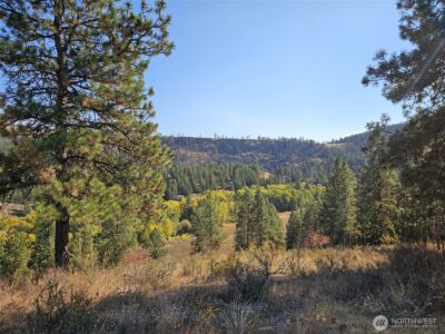 2 D Swauk Pines Road , Cle Elum, WA 98922 - Photo 14
