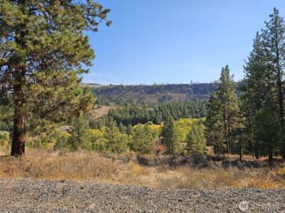 2 D Swauk Pines Road , Cle Elum, WA 98922 - Photo 15
