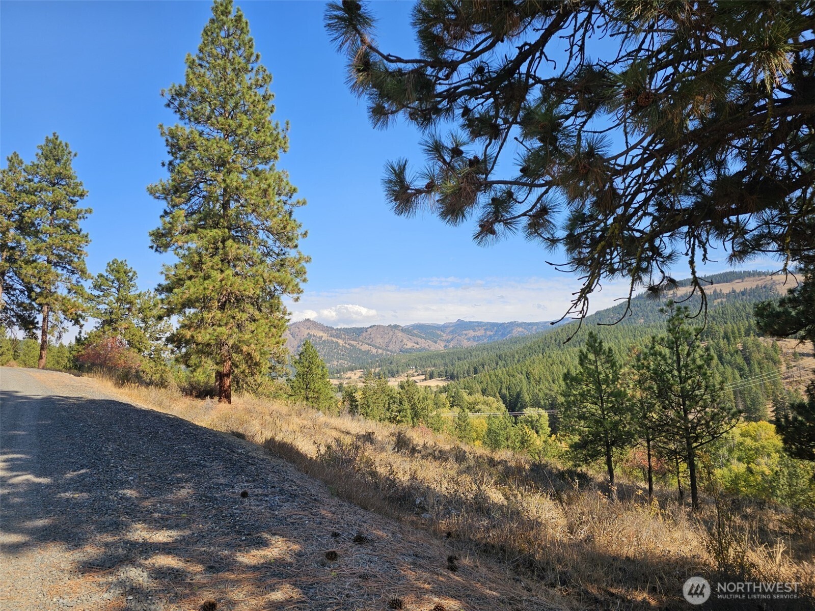 2 D Swauk Pines Road , Cle Elum, WA 98922