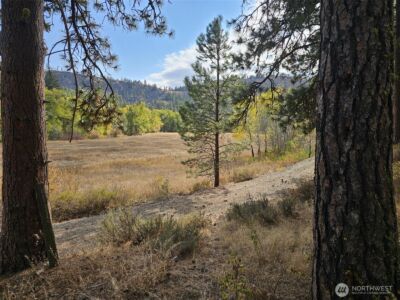 2 D Swauk Pines Road , Cle Elum, WA 98922 - Photo 17