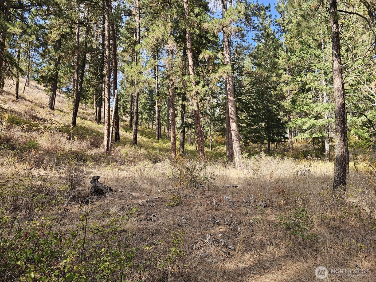 2 D Swauk Pines Road , Cle Elum, WA 98922