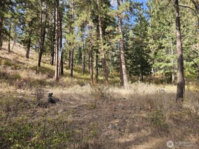 2 D Swauk Pines Road , Cle Elum, WA 98922 - Photo 18
