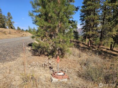 2 D Swauk Pines Road , Cle Elum, WA 98922 - Photo 2