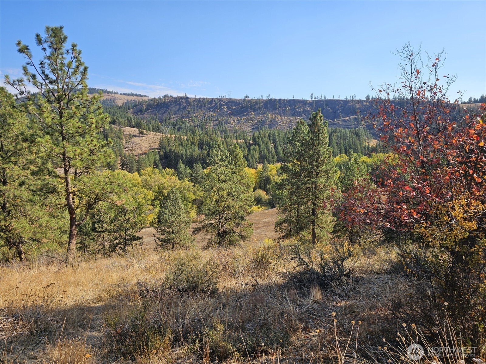 2 D Swauk Pines Road , Cle Elum, WA 98922