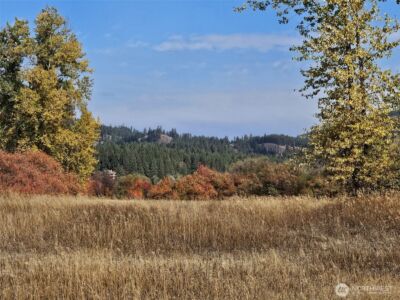 2 D Swauk Pines Road , Cle Elum, WA 98922 - Photo 21