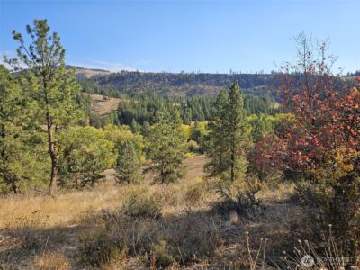 2 D Swauk Pines Road , Cle Elum, WA 98922 - Photo 3