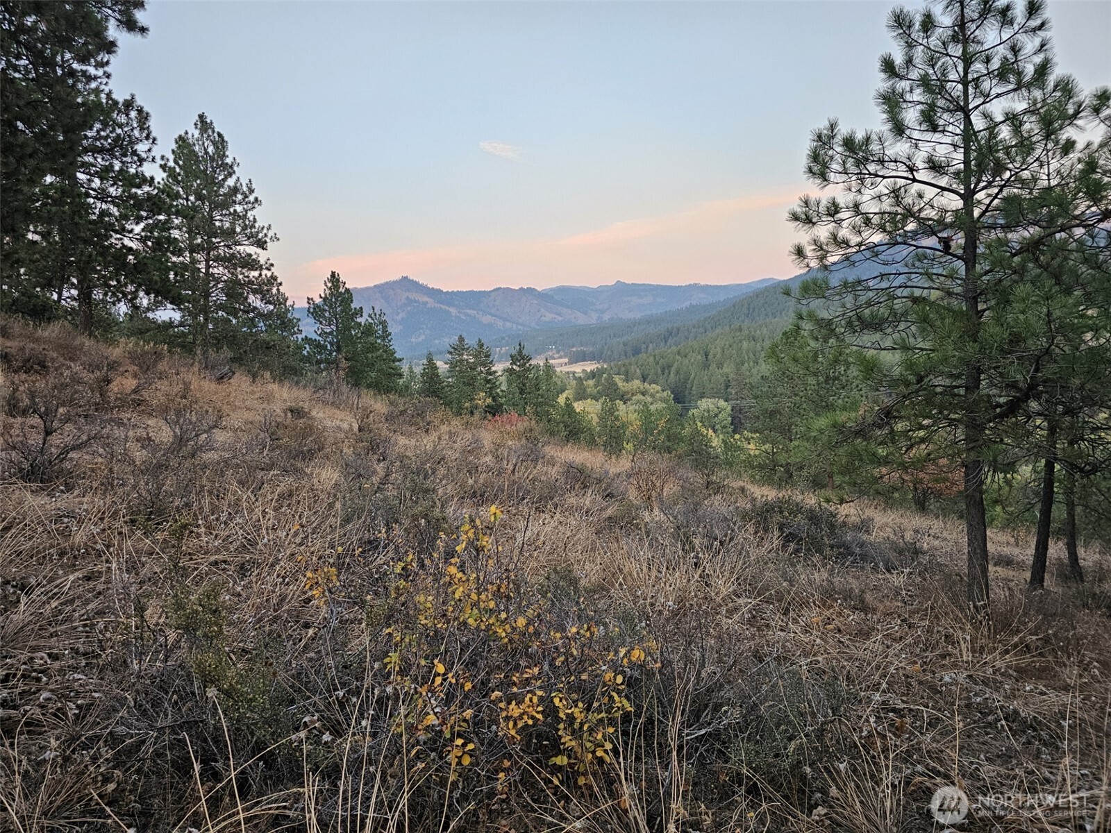 2 D Swauk Pines Road , Cle Elum, WA 98922