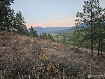 2 D Swauk Pines Road , Cle Elum, WA 98922 - Photo 6