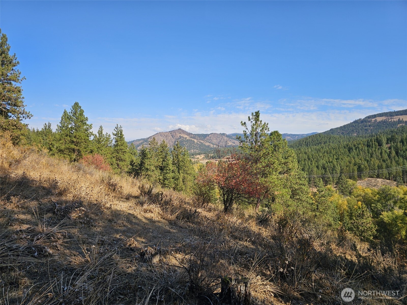 2 D Swauk Pines Road , Cle Elum, WA 98922