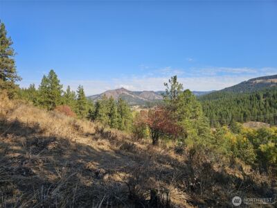 2 D Swauk Pines Road , Cle Elum, WA 98922 - Photo 8