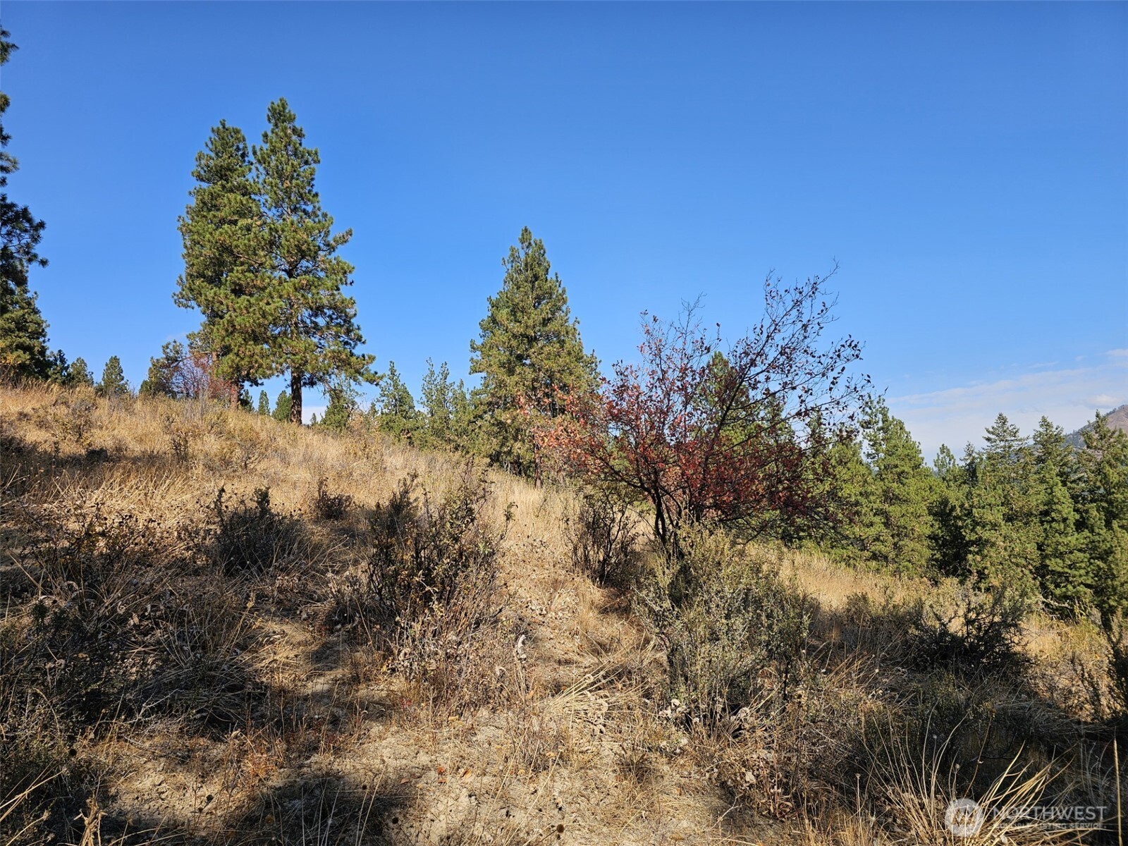 2 D Swauk Pines Road , Cle Elum, WA 98922