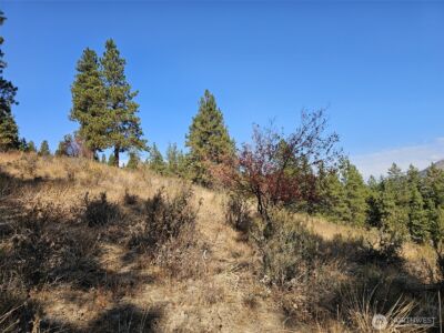 2 D Swauk Pines Road , Cle Elum, WA 98922 - Photo 9