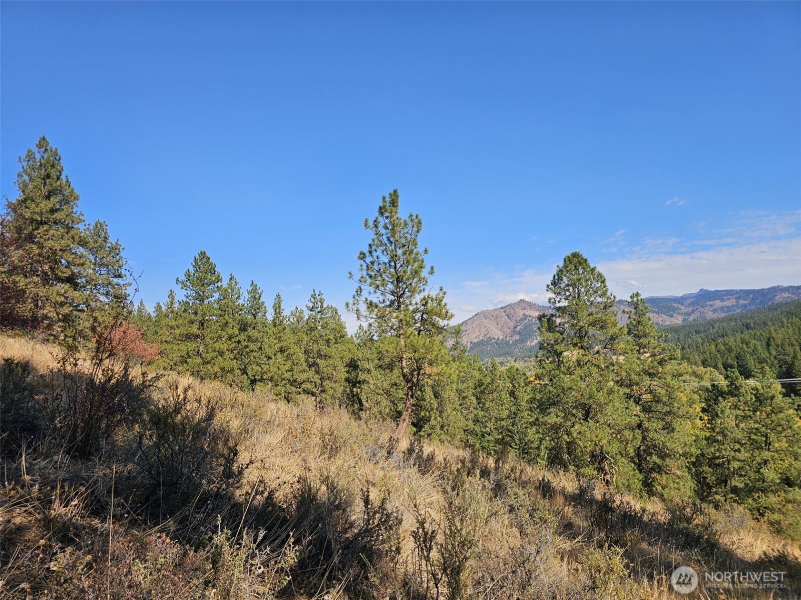 2 D Swauk Pines Road , Cle Elum, WA 98922