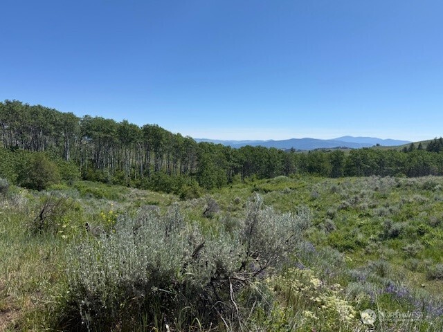 111 TBD ELLEMEHAM RIDGE Road , Oroville, WA 98844