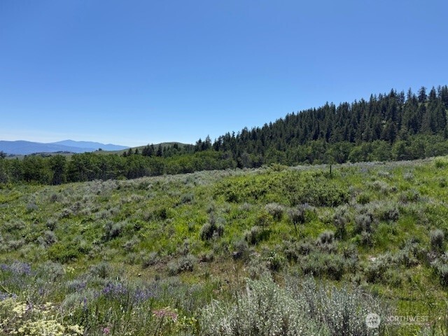 111 TBD ELLEMEHAM RIDGE Road , Oroville, WA 98844