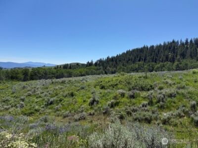 111 TBD ELLEMEHAM RIDGE Road , Oroville, WA 98844 - Photo 2