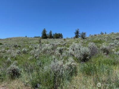 111 TBD ELLEMEHAM RIDGE Road , Oroville, WA 98844 - Photo 4
