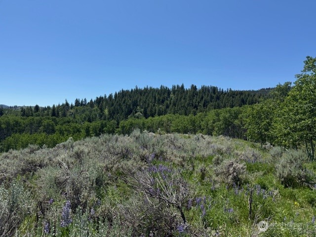 111 TBD ELLEMEHAM RIDGE Road , Oroville, WA 98844