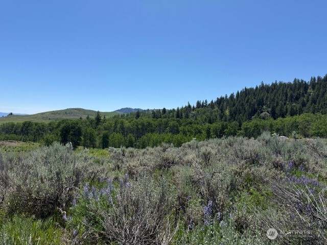 111 TBD ELLEMEHAM RIDGE Road , Oroville, WA 98844