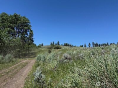 111 TBD ELLEMEHAM RIDGE Road , Oroville, WA 98844 - Photo 7