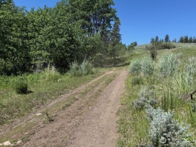 111 TBD ELLEMEHAM RIDGE Road , Oroville, WA 98844 - Photo 8