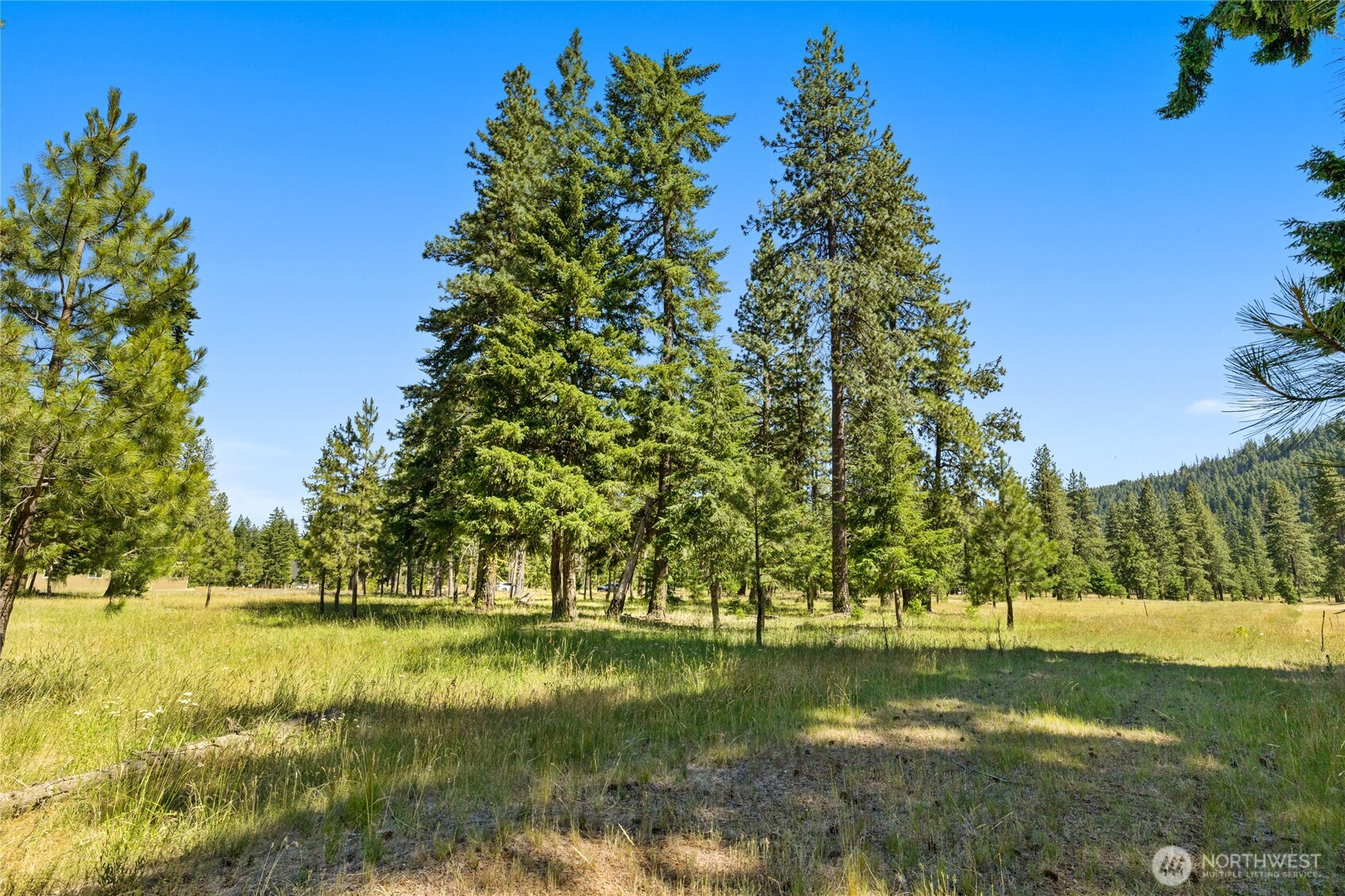 18 Domerie Park Loop , Cle Elum, WA 98922
