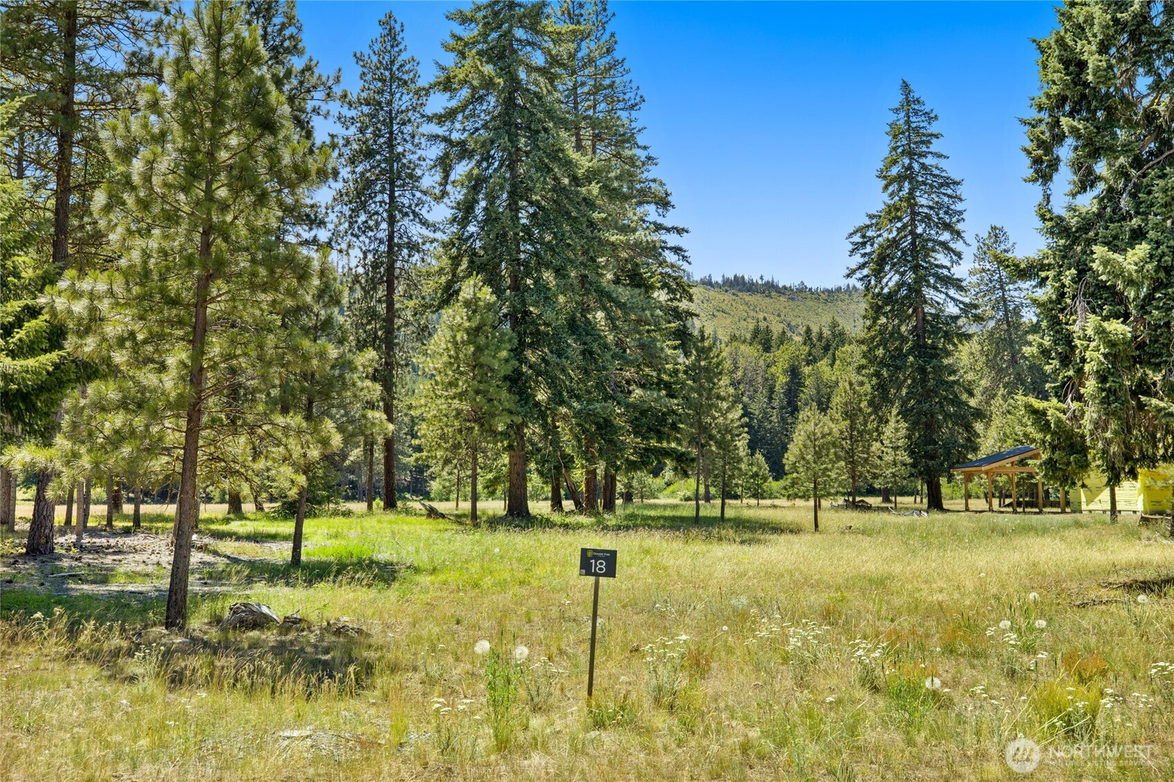 18 Domerie Park Loop , Cle Elum, WA 98922