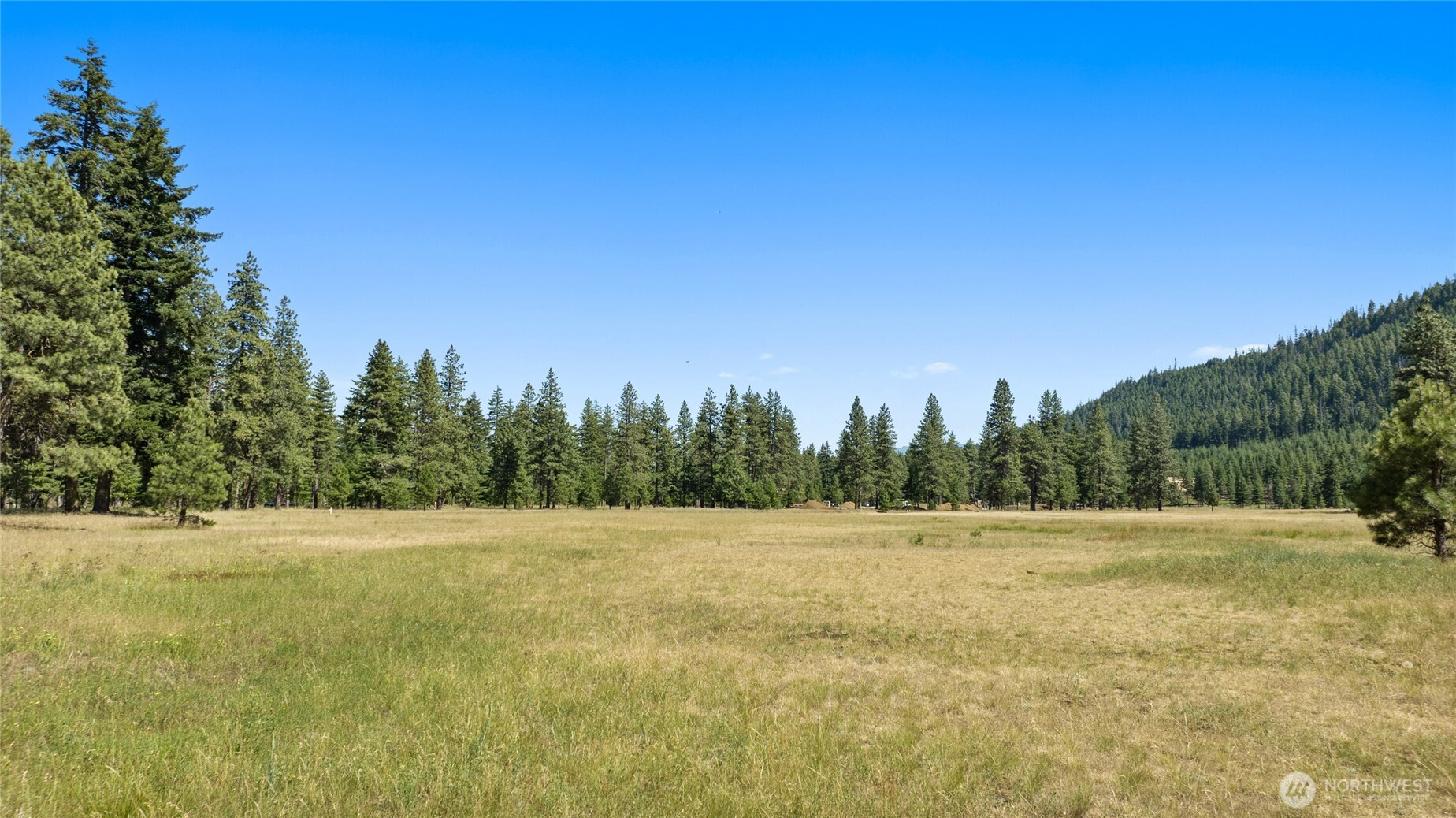 18 Domerie Park Loop , Cle Elum, WA 98922