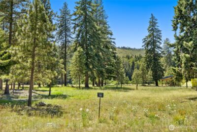 18 Domerie Park Loop , Cle Elum, WA 98922 - Photo 6